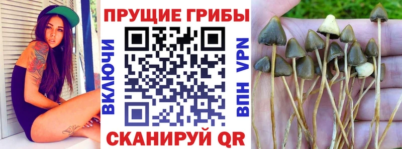 Галлюциногенные грибы GOLDEN TEACHER  Лаишево 